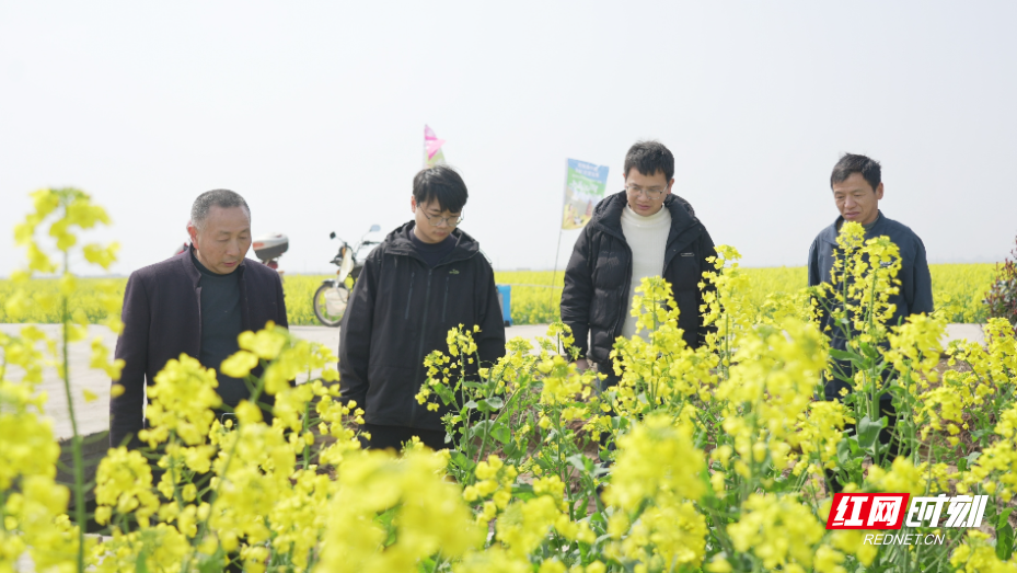 “田间课堂”正在火热开展.jpg “田间课堂”正在火热开展.jpg