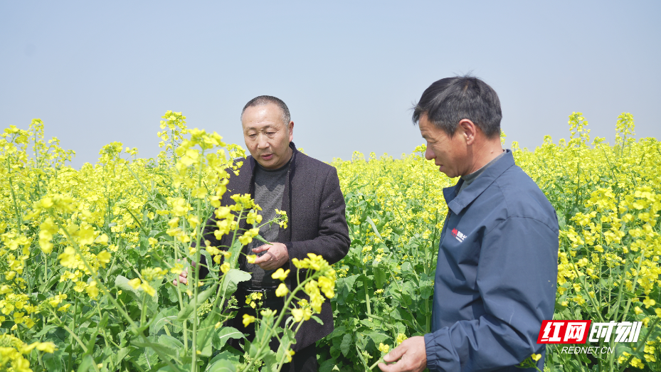 “田间课堂”正在火热开展 (2).jpg “田间课堂”正在火热开展 (2).jpg