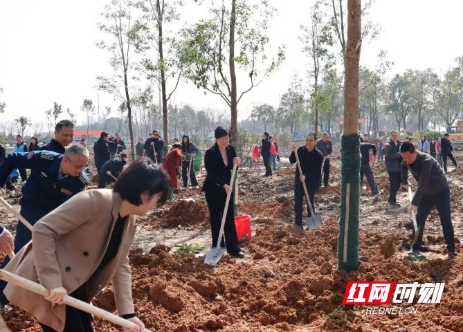 微信图片_20260312133319_325_3.png 微信图片_20260312133319_325_3.png