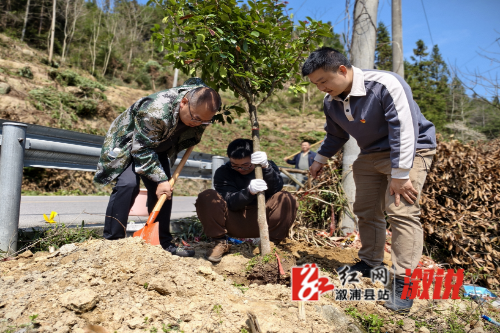 c85e9a78f7029f0dc86141608b598586.jpg c85e9a78f7029f0dc86141608b598586.jpg