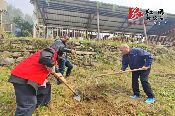 图片2.png 图片2.png