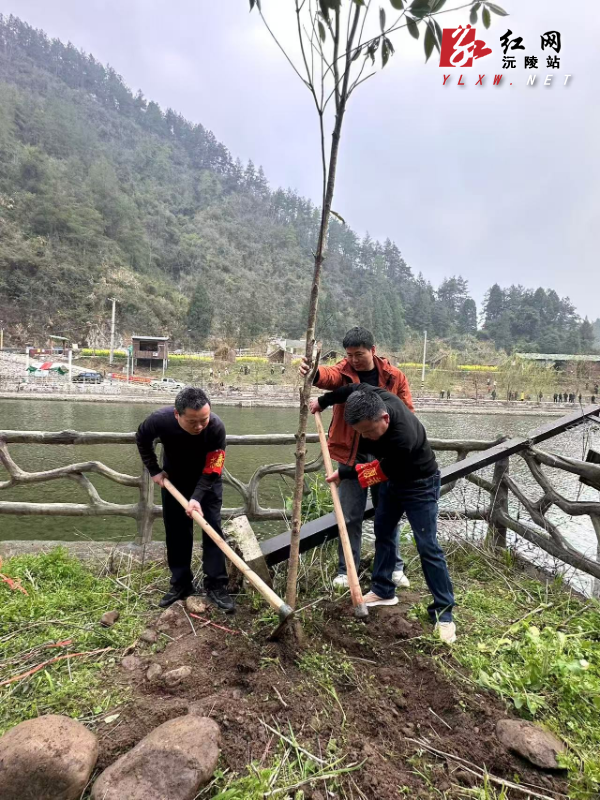 图片3.png 图片3.png