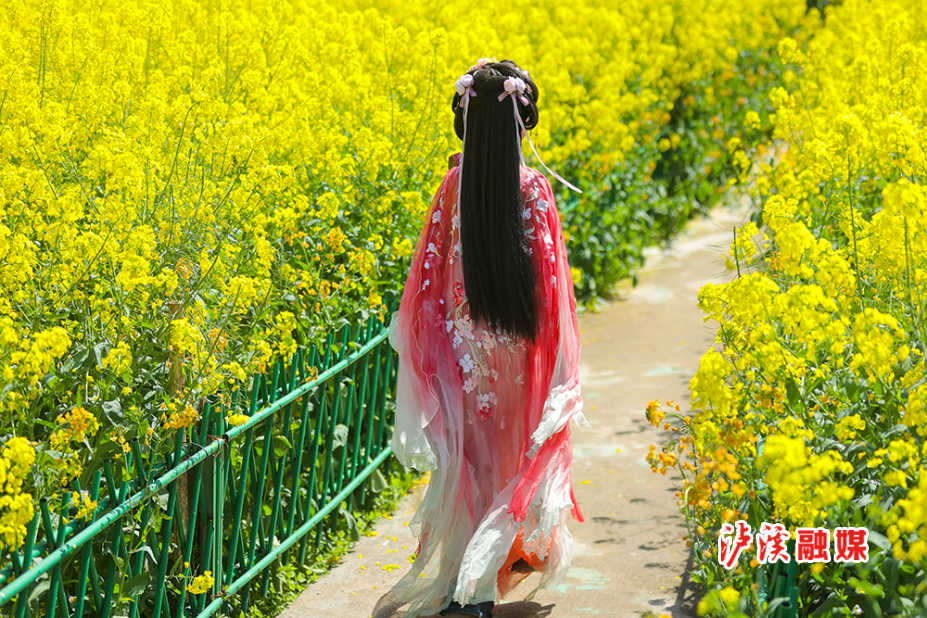 图片12.png 图片12.png