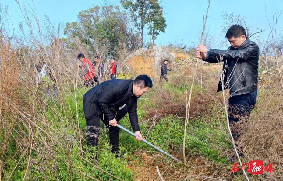 楚江街道:植树护绿践初心 文明实践“种”心间1.jpg 楚江街道:植树护绿践初心 文明实践“种”心间1.jpg