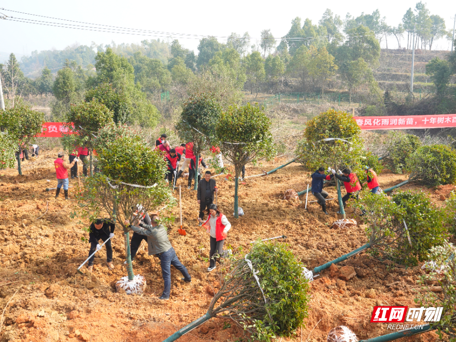 1000097814.jpg 1000097814.jpg