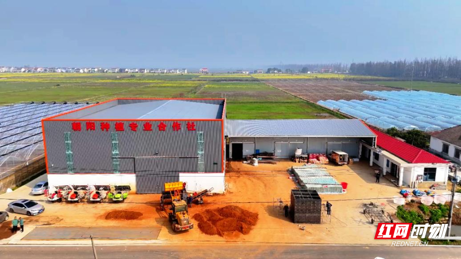 图片3.png 图片3.png