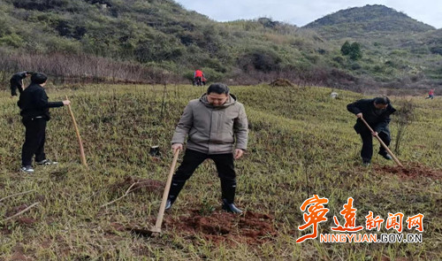 宁远：党建引领添新绿 干群同心绘生态2_副本_副本500.jpg