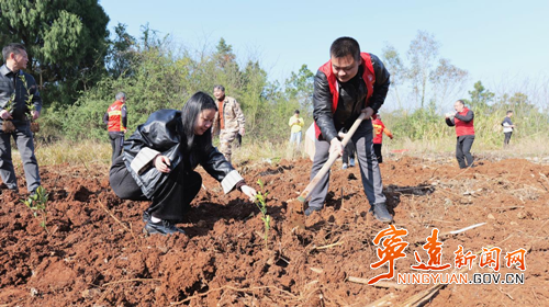 宁远：党建引领添新绿 干群同心绘生态3_副本500.png