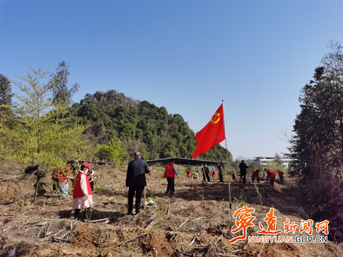 宁远：党建引领添新绿 干群同心绘生态5_副本500.jpg