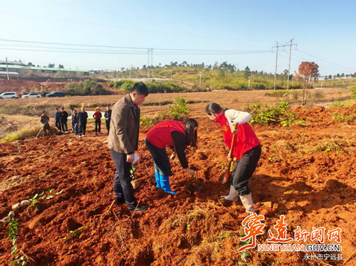 宁远：党建引领添新绿 干群同心绘生态7_副本500.jpg