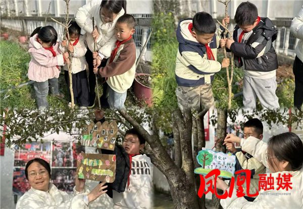 图片3.png 图片3.png