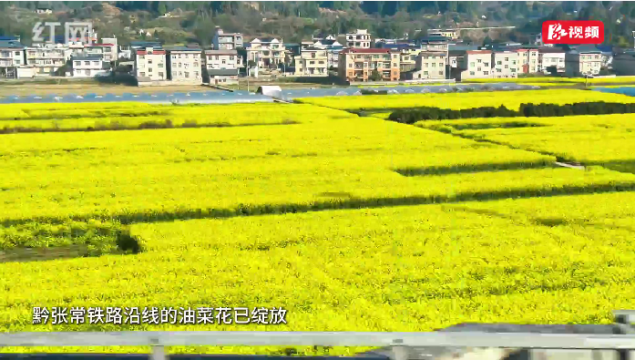 坐上开往春天的列车，解锁黔张常铁路沿途最美花海