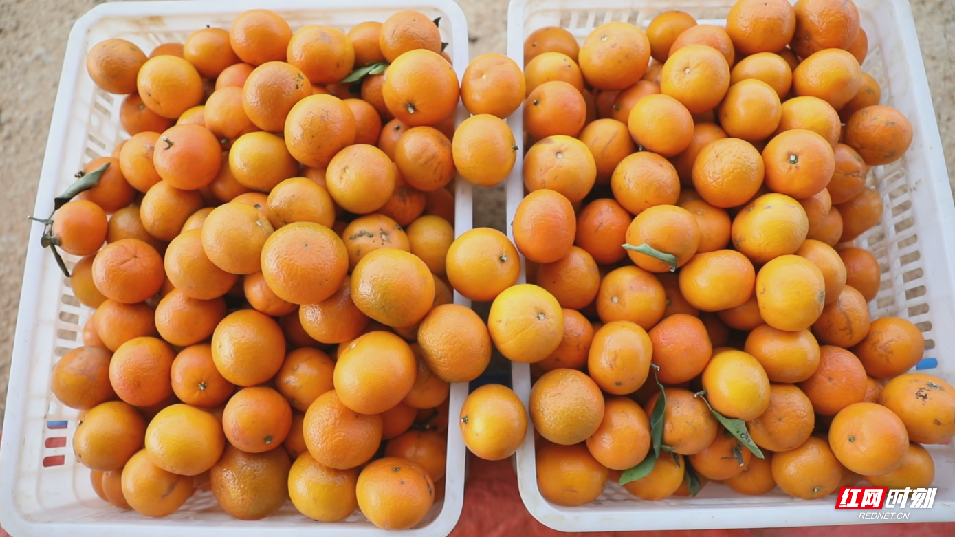 cf3cd347bd0031b3ddb017fe1adc0c58.jpg cf3cd347bd0031b3ddb017fe1adc0c58.jpg