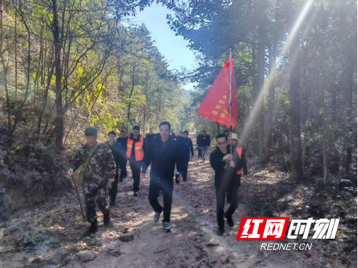 莽山林管局组织开展基层一线巡林活动552.png