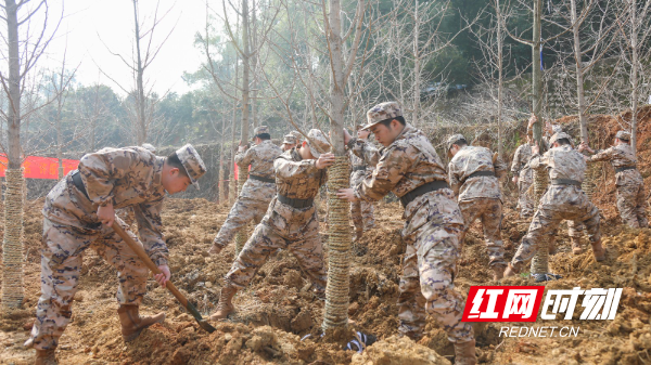 1M0A6833.jpg 1M0A6833.jpg