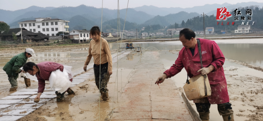 微信图片_20260313105249_96_32.jpg 微信图片_20260313105249_96_32.jpg