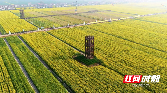 微信图片_20260313095254_337_3.png 微信图片_20260313095254_337_3.png