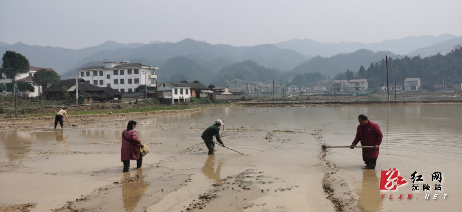 微信图片_20260313105253_97_32.jpg 微信图片_20260313105253_97_32.jpg