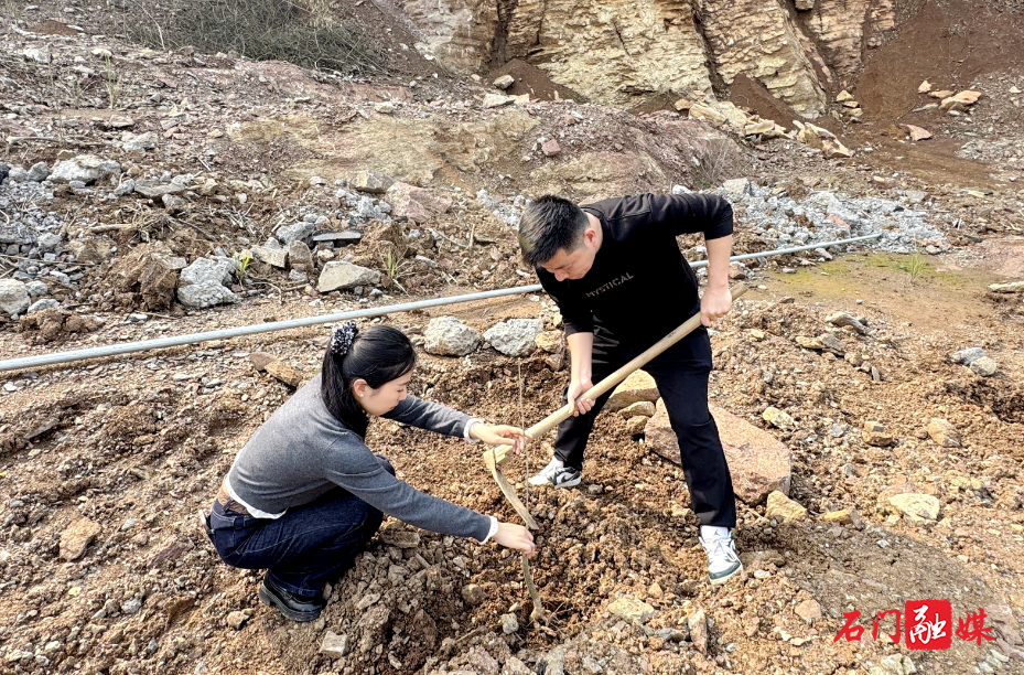 雁池乡：绿满雁池添新景 红马甲护航生态美1.jpg