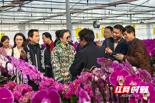 图片3.jpg 图片3.jpg