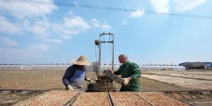 三湘大地备春耕