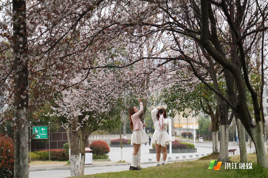 69922cf1e345a656bd62e2793adf48c3.jpg 69922cf1e345a656bd62e2793adf48c3.jpg