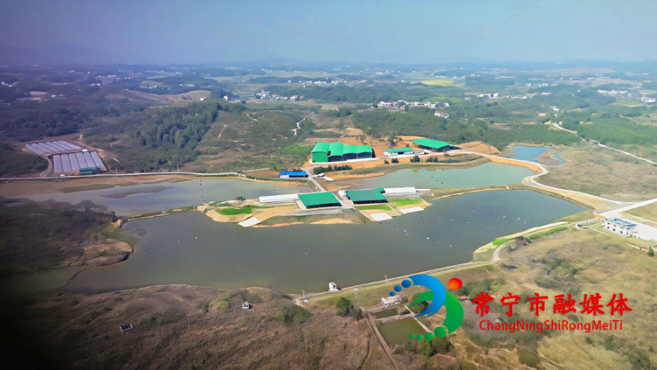 eedefcfcd1c8b90509b589a1208840ef.jpg eedefcfcd1c8b90509b589a1208840ef.jpg