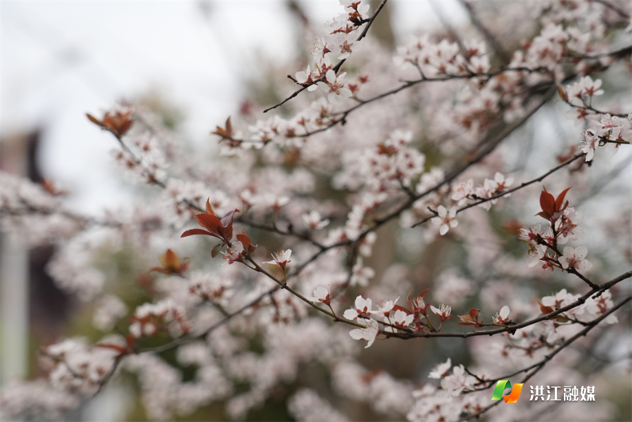 cd7d88cf18f4ff2b344875b73dfb4909.jpg cd7d88cf18f4ff2b344875b73dfb4909.jpg