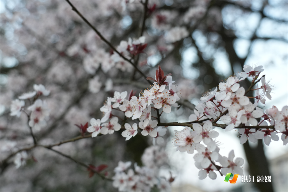 16354966456109b47d3e58270f2b94e2.jpg 16354966456109b47d3e58270f2b94e2.jpg