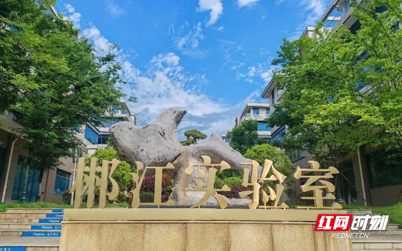 微信图片_2026-03-16_093345_334.jpg 微信图片_2026-03-16_093345_334.jpg