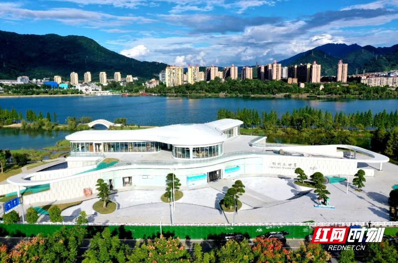 微信图片_2026-03-16_093356_376.jpg 微信图片_2026-03-16_093356_376.jpg