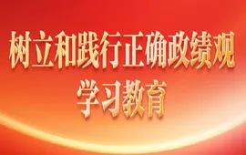 树立和践行正确政绩观学习教育