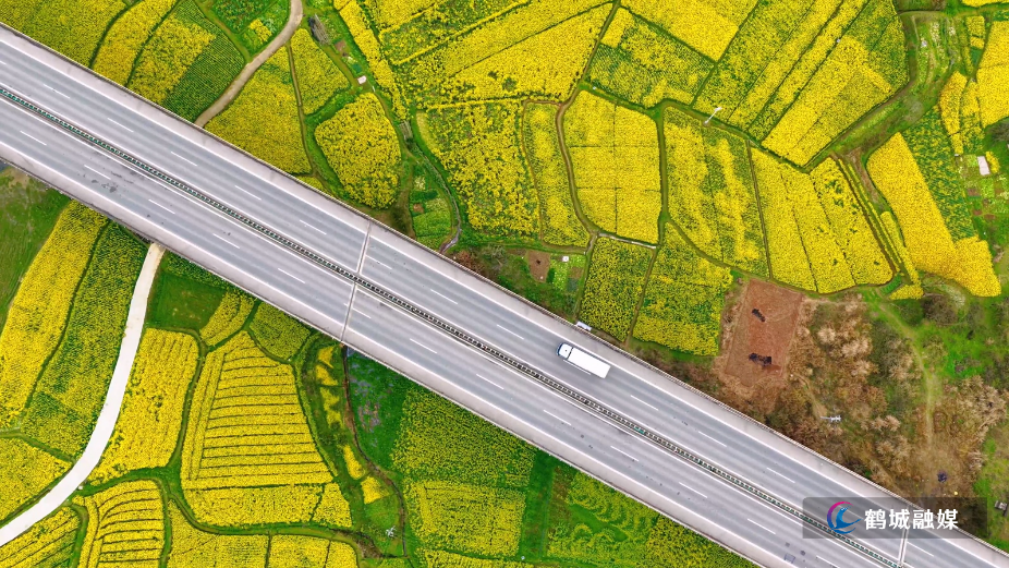 车在高速行,人似画中游.mp4_20260316_142520.986.jpg 车在高速行,人似画中游.mp4_20260316_142520.986.jpg