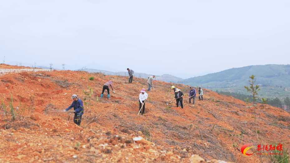 Still0316_00000.png Still0316_00000.png