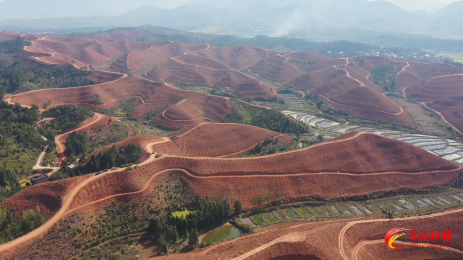 Still0316_00001.png Still0316_00001.png