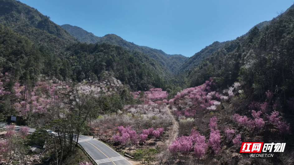 图片2.png 图片2.png