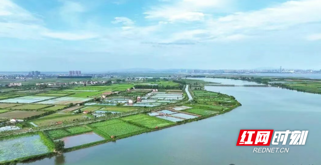 微信图片_20260315190118_325_14.png 微信图片_20260315190118_325_14.png