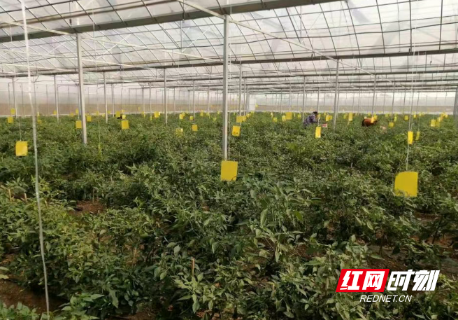 微信图片_20260315190102_323_14.png 微信图片_20260315190102_323_14.png