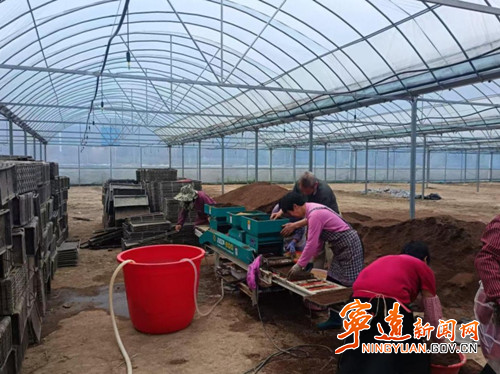 宁远县九疑瑶族乡：机械化育秧提速 绘就春耕好丰景_副本_副本_副本500.jpg