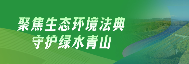 专题 | 聚焦生态环境法典 守护绿水青山