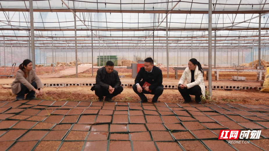 微信图片_20260318100635.jpg 微信图片_20260318100635.jpg