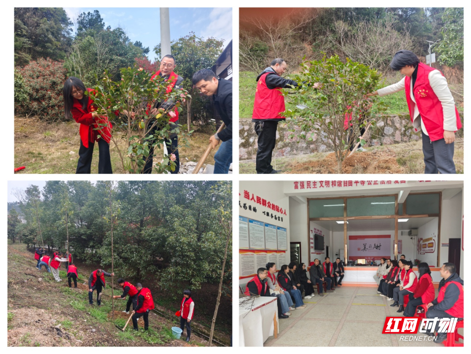 图片12.png 图片12.png