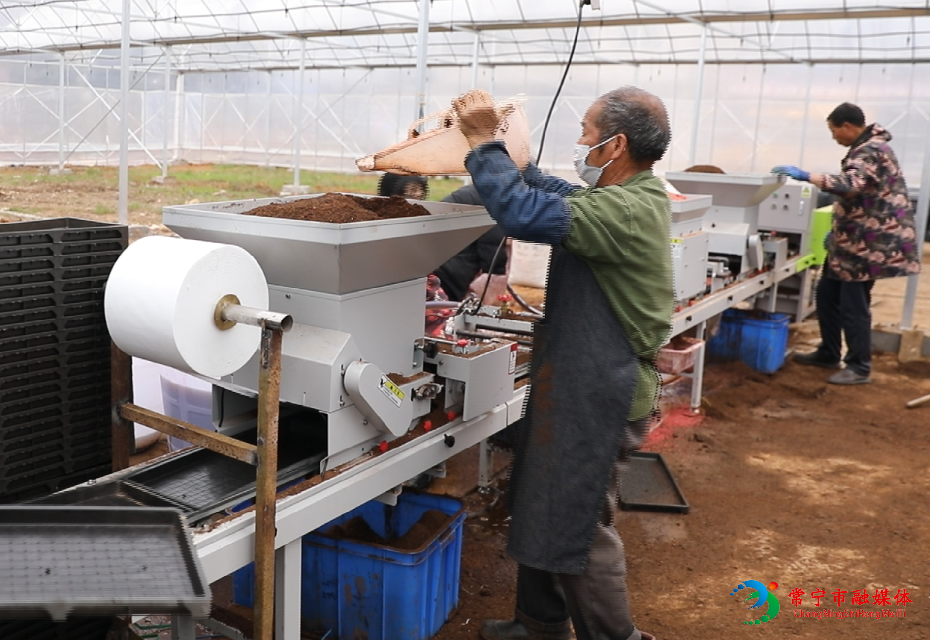 洋泉育秧 (7).png