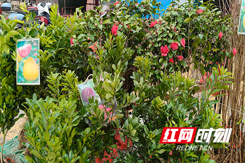 微信图片_20260319175500_21_24.jpg 微信图片_20260319175500_21_24.jpg