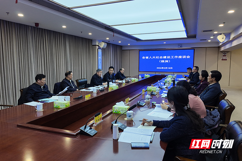 DJI_20260318164636_0596_D.jpg DJI_20260318164636_0596_D.jpg