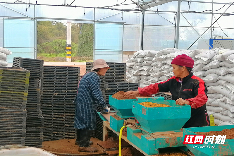 微信图片_20260320162853.jpg 微信图片_20260320162853.jpg