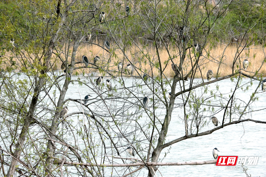 IMG_0531.JPG IMG_0531.JPG