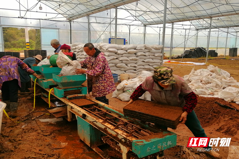 微信图片_20260320162902.jpg 微信图片_20260320162902.jpg