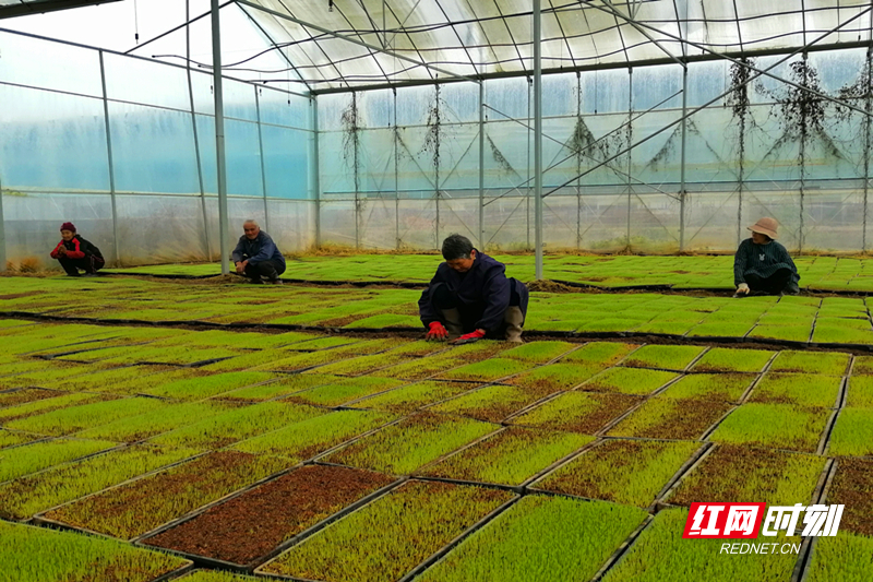 微信图片_20260320162909.jpg 微信图片_20260320162909.jpg