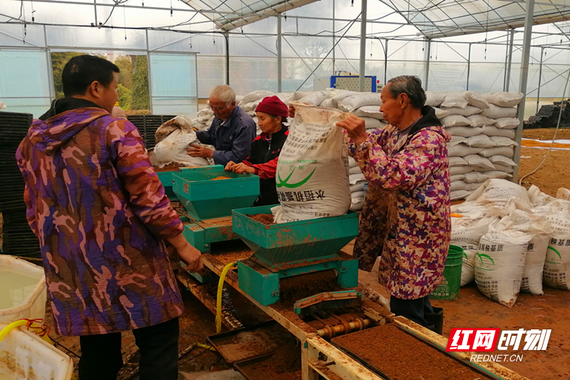 微信图片_20260320162858.jpg 微信图片_20260320162858.jpg